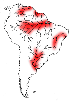 Mapa com a localização da piranha na américa do sul, regiões destacadas