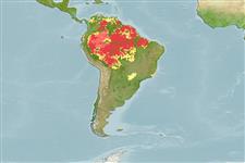 Mapa com locais onde podemos encontrar o Cachara, predominante no Norte do país