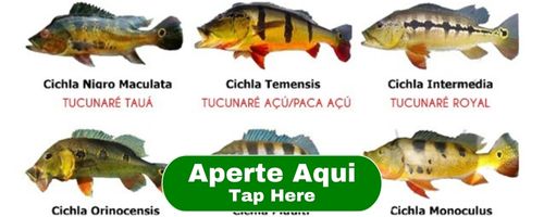 Aperte Aqui Tap Here (5)-min
